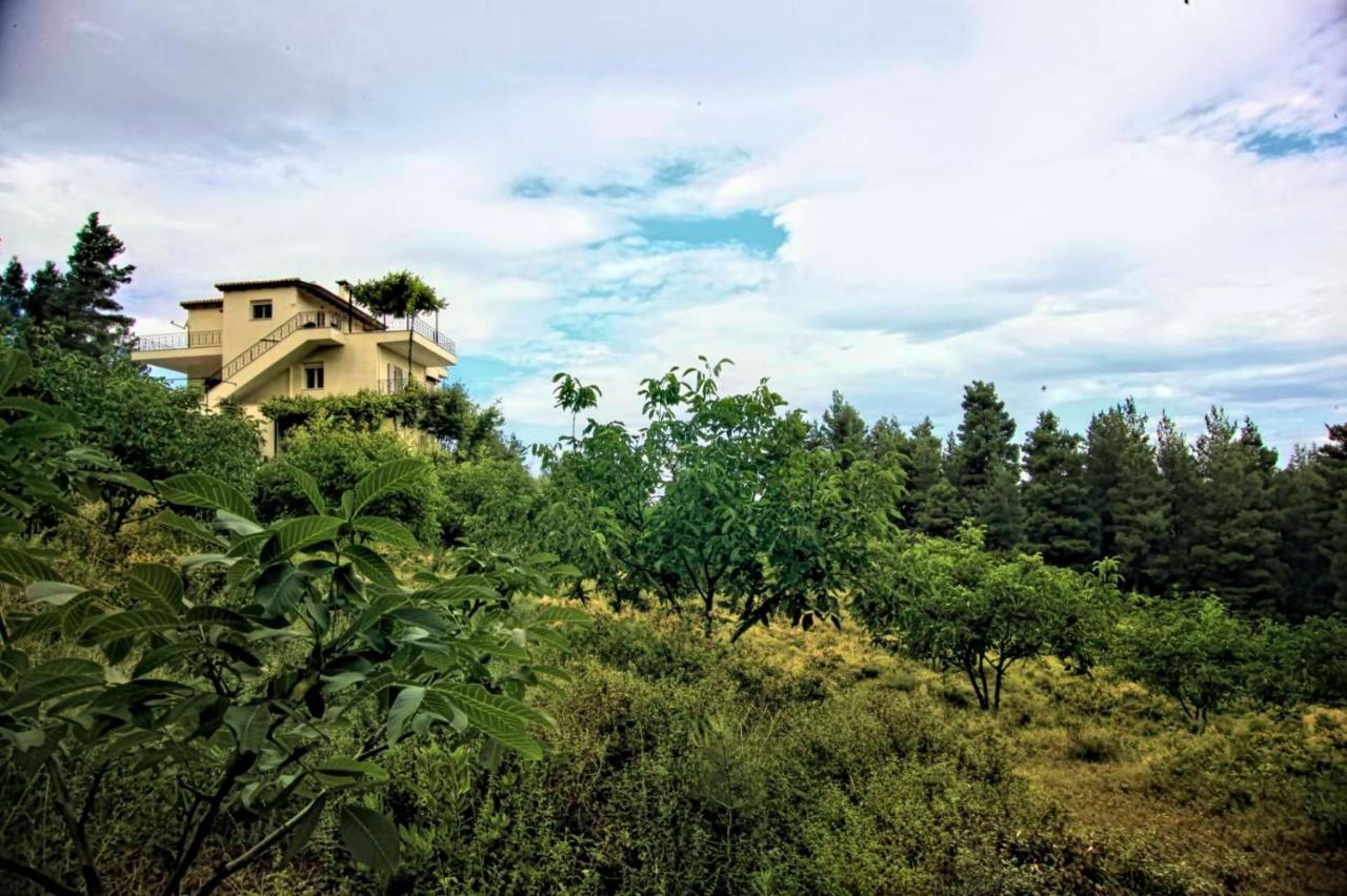 Dream House Capturing The Magic Of Nature Vlachia Eksteriør bilde