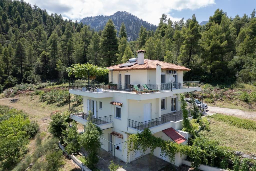 Dream House Capturing The Magic Of Nature Vlachia Eksteriør bilde