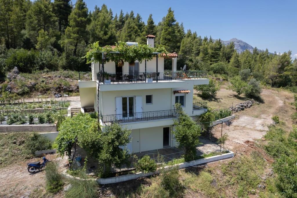 Dream House Capturing The Magic Of Nature Vlachia Eksteriør bilde