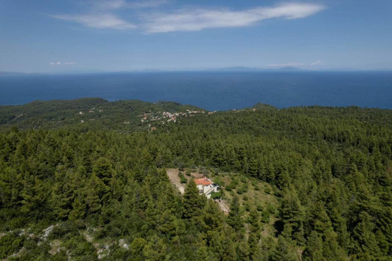 Dream House Capturing The Magic Of Nature Vlachia Eksteriør bilde