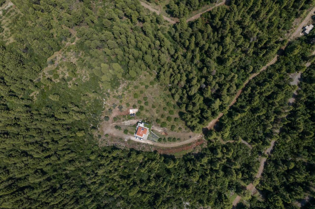 Dream House Capturing The Magic Of Nature Vlachia Eksteriør bilde